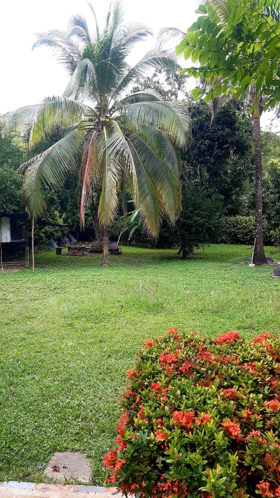 SE VENDE CASA CAMPESTRE EN TOCAIMA (CUNDINAMARCA) - Imagen 14