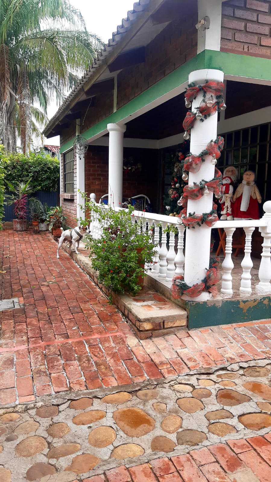 SE VENDE CASA CAMPESTRE EN TOCAIMA (CUNDINAMARCA) - Imagen 15