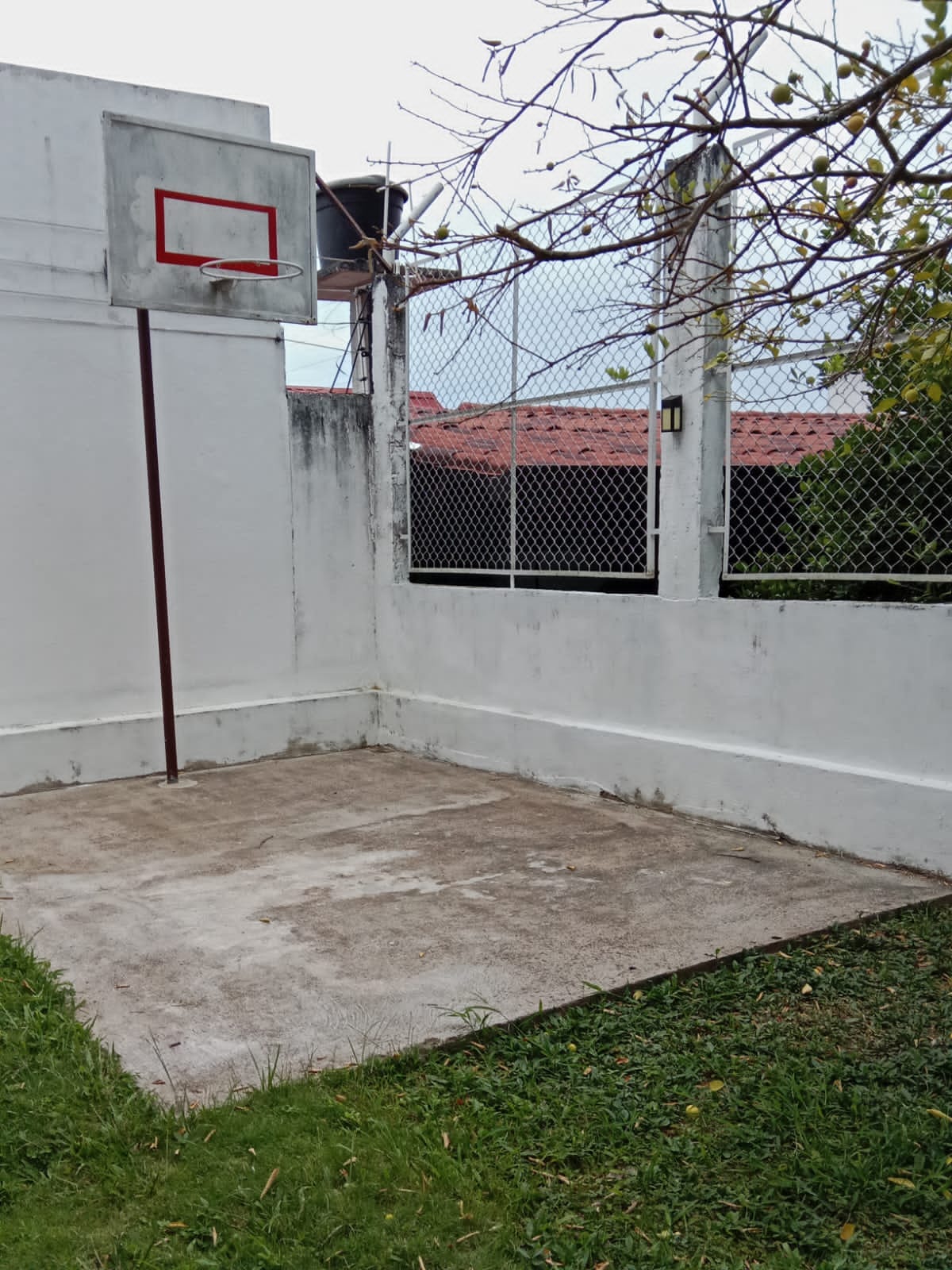 SE VENDE CASA EN EL PARAISO VEREDA EL GUADUAL(RIVERA-HUILA) - Imagen 12